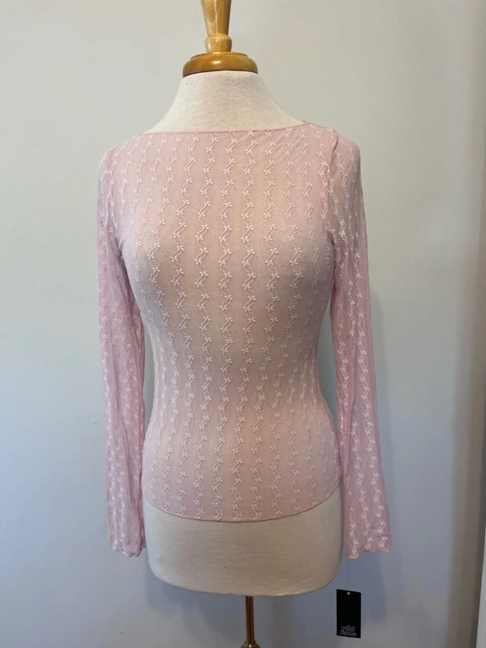 New Wild Fable Sheer Pastel Rose Pink Mesh Fairy ballerina Top Size Medium - Picture 1 of 6